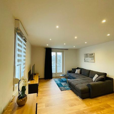 Appartement Les Tilleuls "3 Etoiles" Niederbronn-les-Bains Ngoại thất bức ảnh