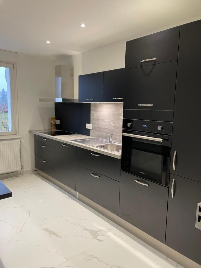 Appartement Les Tilleuls "3 Etoiles" Niederbronn-les-Bains Ngoại thất bức ảnh